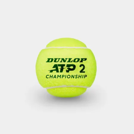 Мяч теннисный Dunlop ATP Championship 3B, 601626, уп.3ш, одобр. ITF, нат.резина,фетр. за 943.50 ₽ купить в Челябинске