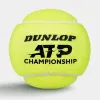Мяч теннисный Dunlop ATP Championship 4B, 601627, уп.4ш, одобр. ITF, нат.резина,фетр. за 1&nbsp;242.70 ₽ купить в Челябинске