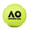 Мяч теннисный Dunlop Australian Open, 601601, уп..3 шт, одобр.ITF,фетр,нат.резина, желтый за 1&nbsp;171.30 ₽ купить в Челябинске