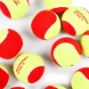 Мяч теннисный детский NS Red, 5021009, уп.12 шт, резина, шерть, нейлон, желто-красный за 2&nbsp;941 ₽ купить в Челябинске