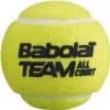 Мяч теннисный BABOLAT Team All Court,502081, уп.4 шт,одобр.ITF, сукно, нат.резина,желтый за 2&nbsp;385.10 ₽ купить в Челябинске
