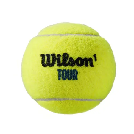 Мяч теннисный WILSON Tour Premier All Court, WRT119400, одобр.ITF, фетр, нат.резина,. уп.4 шт за 1&nbsp;676.20 ₽ купить в Челябинске